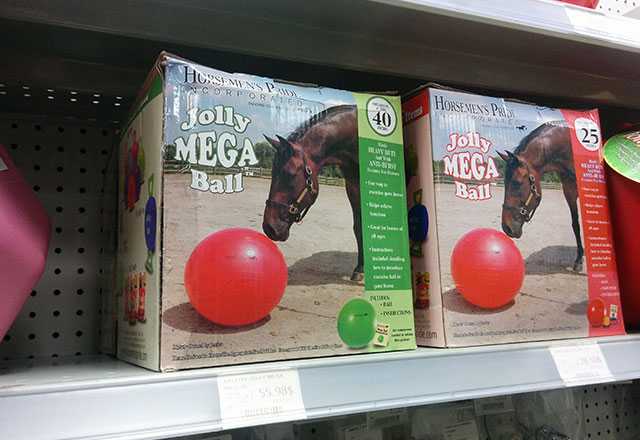 Horse balls